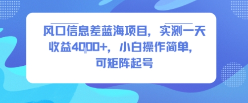 风口信息差蓝海项目，实测一天收益4k+，小白操作简单，可矩阵起号|无忧资源社