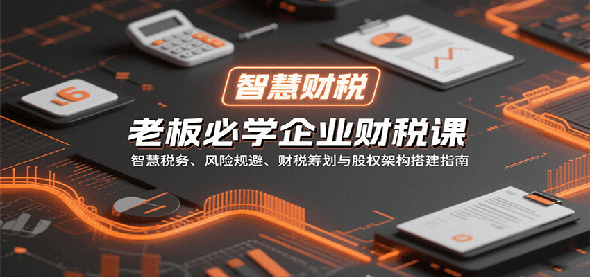 老板必学企业财税课：智慧税务、风险规避、财税筹划与股权架构搭建指南|无忧资源社