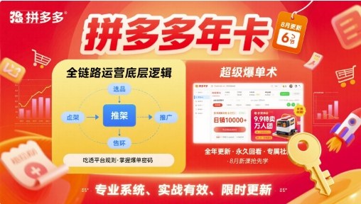 拼多多年卡【8月更新6节】拼多多全链路运营底层逻辑，超级爆单术|无忧资源社