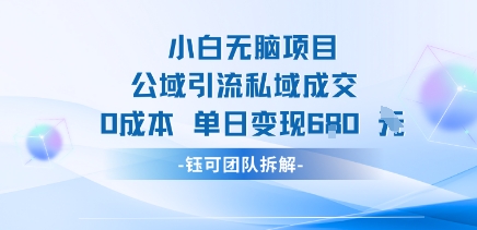小白无脑项目公域引流私域成交0成本单日变现680米|无忧资源社