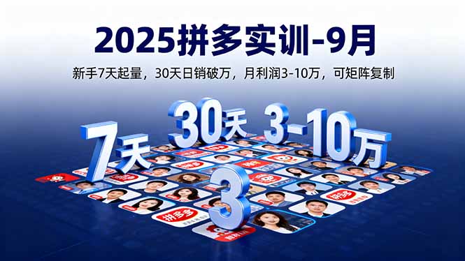 （16008期）2025拼多多实训-9月：新手7天起量,30天日销破万,月利润3-10万,可矩阵复制|无忧资源社