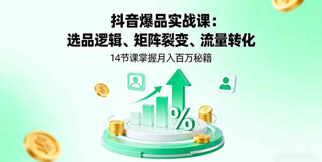 （16112期）抖音爆品实战课：选品逻辑、矩阵裂变、流量转化，14节课掌握月入百万秘籍|无忧资源社