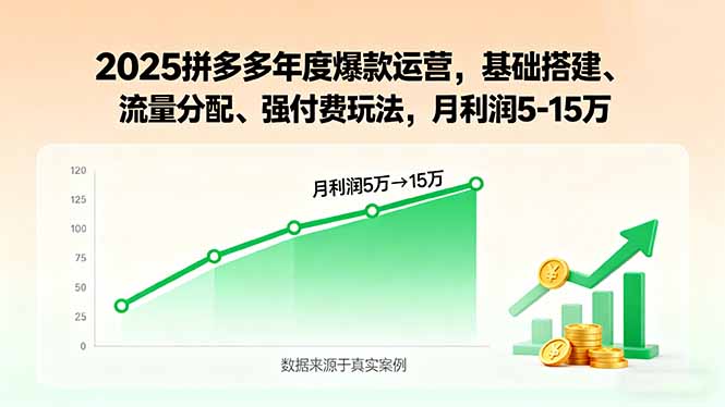 （15973期）2025拼多多年度爆款运营，基础搭建、流量分配、强付费玩法，月利润5-15万|无忧资源社