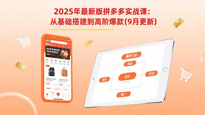 （15899期）2025年最新版拼多多实战课：从基础搭建到高阶爆款（9月更新）|无忧资源社