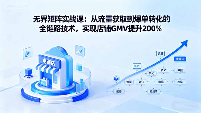 （16104期）无界矩阵实战课：从流量获取到爆单转化的全链路技术，实现店铺GMV提升200%|无忧资源社