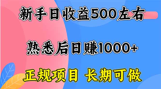 （16132期）新手日收益500+ 正规项目 长期可做|无忧资源社