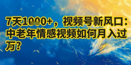 7天收益1k+，视频号新风口：中老年情感视频如何月入过W?|无忧资源社