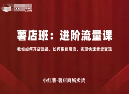 小红薯薯店商城卖货，进阶流量课，教你如何开店选品、如何系统引流，实现快速卖货变现|无忧资源社