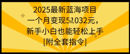 2025最新蓝海项目一个月变现1w+新手小白也能轻松上手【附全套指令】|无忧资源社