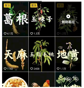图片[2]|抖音中草药赛道，用AI做中草药故事视频，45条作品涨粉13W，橱窗带货猛猛出单|无忧资源社