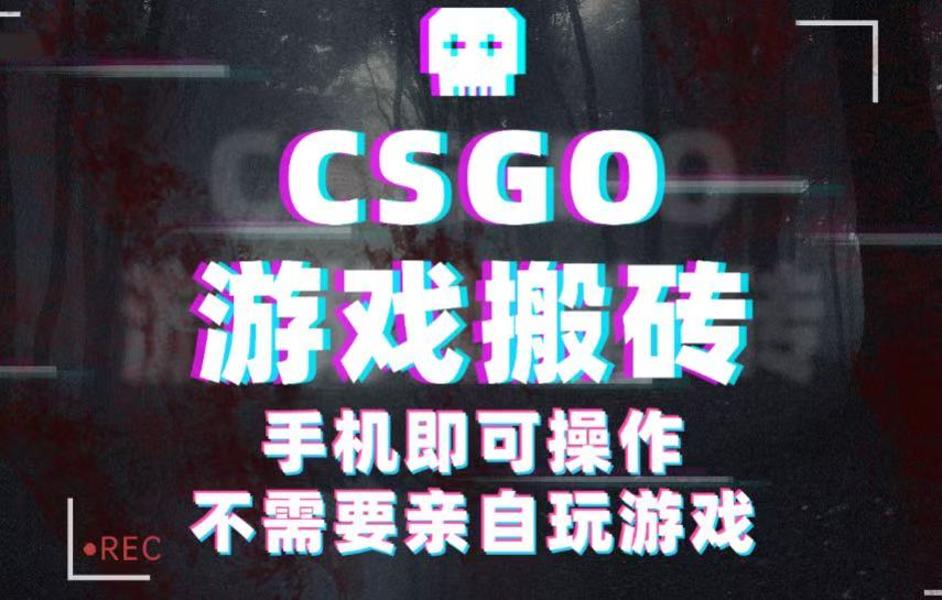 CSGO游戏挂机捡漏，单日扫货500+，年底小高峰上车可吃肉，手机即可操作兼职副业|无忧资源社