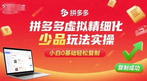 拼多多虚拟精细化少品玩法实操，小白0基础轻松复制|无忧资源社