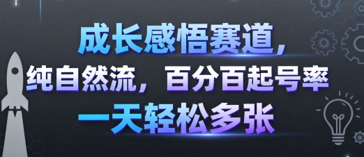 成长感悟赛道，纯自然流，百分百起号率 一天轻松多张|无忧资源社