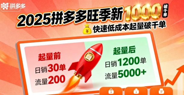 2025拼多多旺季新老店铺——快速低成本起量破千单|无忧资源社
