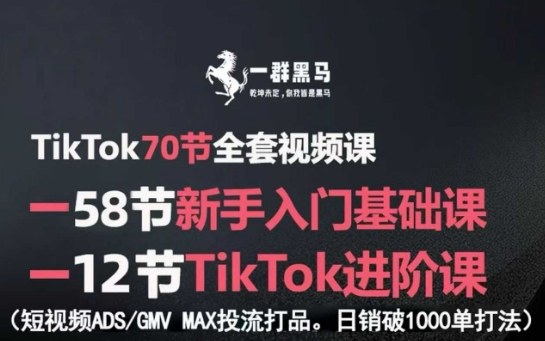 TikTok全套视频课，新手入门+进阶课，短视频ADS-GMV MAX投流打品，日销破1000单打法|无忧资源社