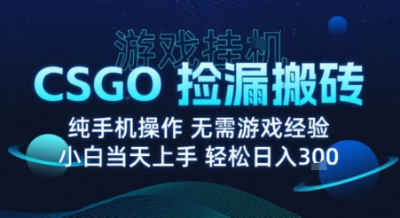 8月最新游戏搬砖，CSGO纯挂G，不需要玩游戏，实现真挂G，月入1W+【揭秘】|无忧资源社