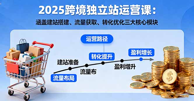 （16211期）2025跨境独立站运营课：涵盖建站搭建、流量获取、转化优化三大核心模块|无忧资源社