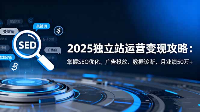 （16371期）2025独立站运营变现攻略：掌握SEO优化、广告投放、数据诊断，月业绩50万+|无忧资源社
