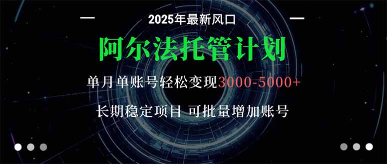 （16360期）阿尔法托管计划 单账号月入3000-5000，长期稳定项目，新手小白轻松上手。|无忧资源社