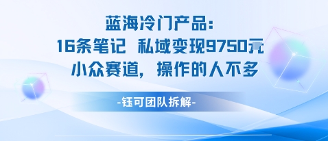 蓝海项目：16条笔记私域变现9750米小众赛道操作的人不多|无忧资源社