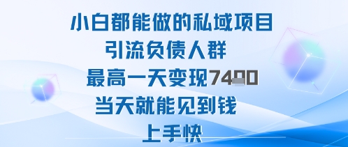 2025年小白都能做的私域项目引流负债人群最高一天变现1k+高变现难度低当天就能见到钱上手快|无忧资源社