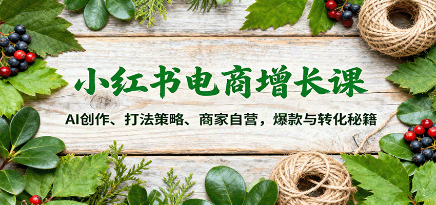 小红书电商增长课：AI创作、打法策略、商家自营，爆款与转化秘籍|无忧资源社