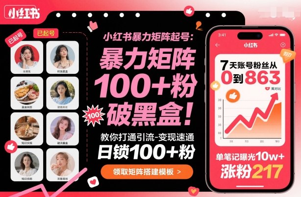 小红书暴力矩阵起号，教你打通引流-变现速通，日锁100+粉，破流量黑盒|无忧资源社