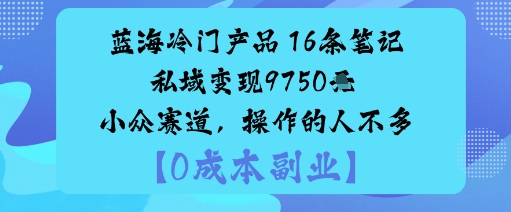 蓝海冷门产品：16条笔记私域变现9750米小众赛道，操作的人不多|无忧资源社