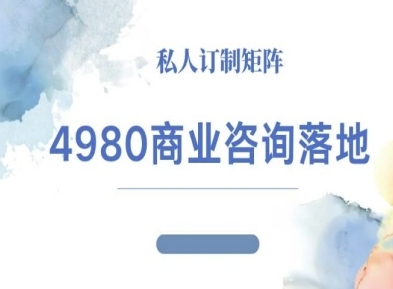 4980商业咨询师落地课程-ip运营高客单教程|无忧资源社