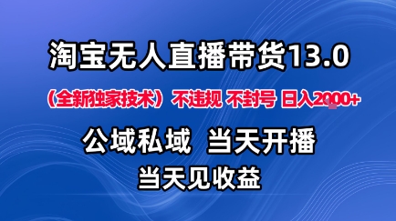 淘宝无人直播13.0，公域私域技术，不封号，不违规布局下半年旺季赛道，日入1K+（独家技术）【揭秘】|无忧资源社