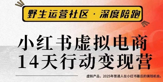 小红书虚拟电商14天变现训练营3.0，​虚拟产品，2025年普通人在小红书最后的搞钱机会|无忧资源社