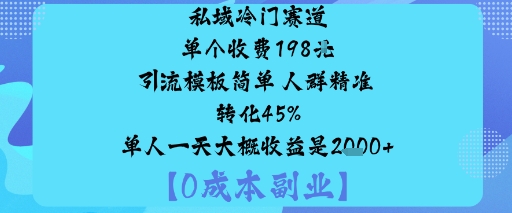 私域冷门赛道:单个收费198米引流模板简单人群精准转化45%单人一天大概收益是1k+|无忧资源社