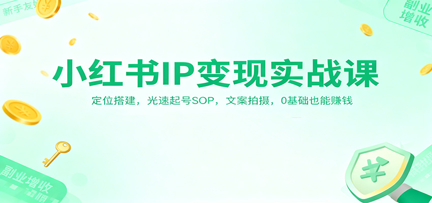 小红书IP变现实战课：定位搭建，光速起号SOP，文案拍摄，0基础也能赚钱|无忧资源社