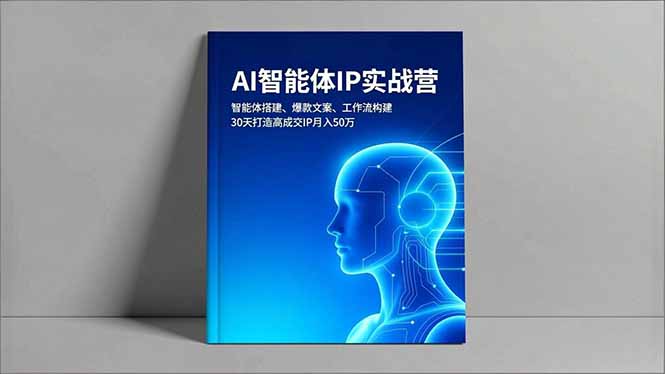 （16689期）AI智能体IP实战营，智能体搭建、爆款文案、工作流构建，30天打造高成交IP月入50万|无忧资源社