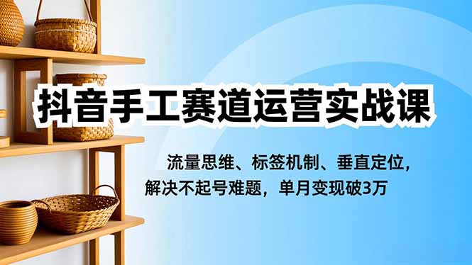 （16667期）抖音手工赛道运营实战课，流量思维、标签机制、垂直定位，解决不起号难题，单月变现破3万|无忧资源社
