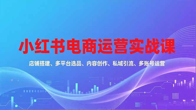 （16695期）小红书电商运营实战课，店铺搭建、多平台选品、内容创作、私域引流、多账号运营等玩法|无忧资源社