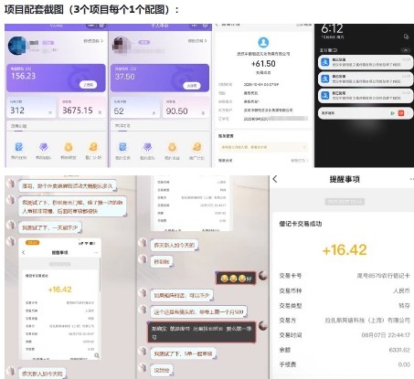 图片[2]|当天能收益的3个小项目拆解_包括平台+操作流程|无忧资源社