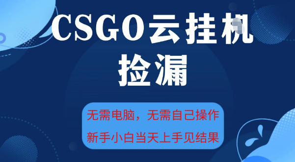 CSGO云挂G全自动捡漏，最新独家玩法，无需电脑操作，新手小白日入5张+【揭秘】|无忧资源社
