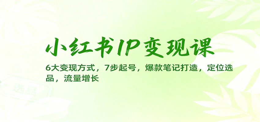 小红书IP变现课：6大变现方式，7步起号，爆款笔记打造，定位选品，流量增长|无忧资源社
