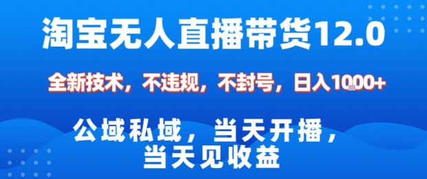 淘宝无人直播12.0，公域私域技术，不封号，不违规布局双十一流量风口，日入1k（独家技术）【揭秘】|无忧资源社