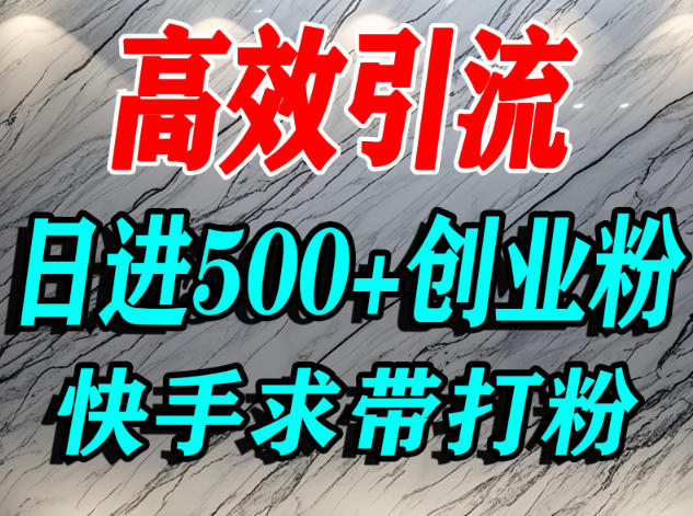 怎么打创业粉？快手求带视角精准引流创业粉，宝妈、学生群体日进500+精准流量|无忧资源社