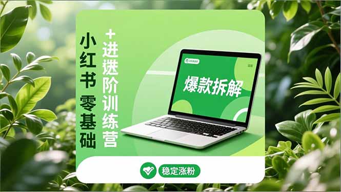 （16801期）小红书零基础+高阶训练营：安全养号、爆款拆解、长效运营，实现稳定涨粉与变现|无忧资源社