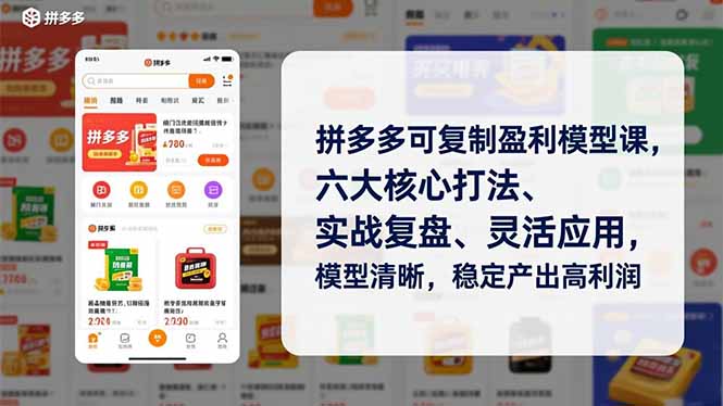 （16952期）拼多多可复制盈利模型课，六大核心打法、实战复盘、灵活应用，模型清晰，稳定产出高利润|无忧资源社