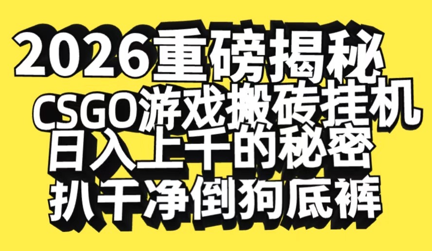 2026开年重磅解密,CSGO游戏搬砖挂机日入上千的秘密,把倒狗的底裤扒干|无忧资源社