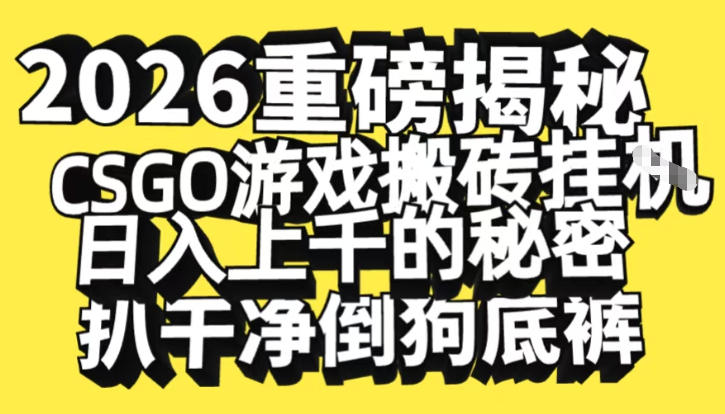 2026开年重磅解密，CSGO游戏搬砖挂G日入1k+的秘密，把倒狗的底裤扒干【揭秘】|无忧资源社