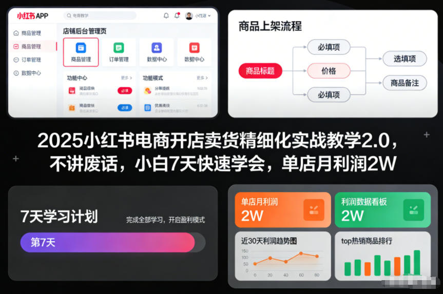 2025小红书电商开店卖货精细化实战教学2.0，不讲废话，小白7天快速学会，单店月利润2W|无忧资源社