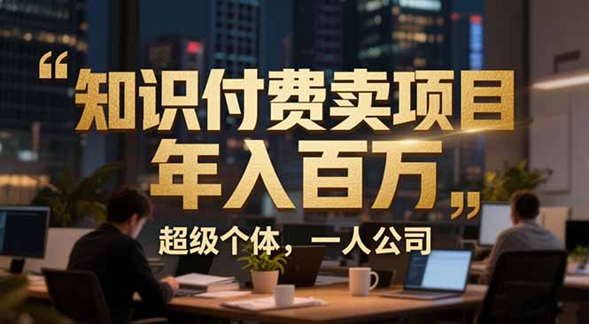 （17134期）从0到年入百万：超级个体实战心得公开，个人IP×精准引流×成交系统全拆解|无忧资源社