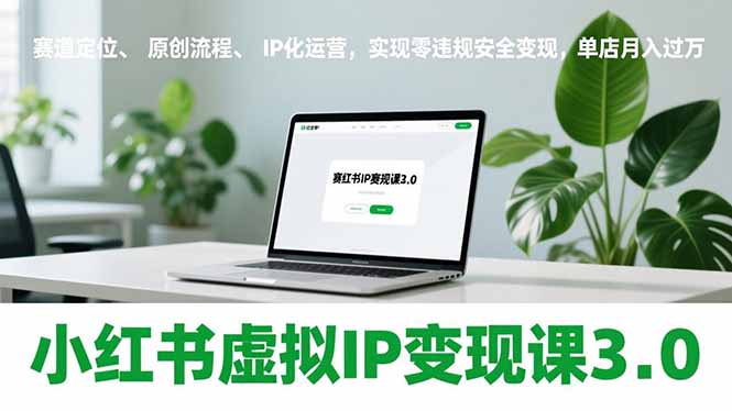 （17029期）小红书虚拟IP变现课3.0，赛道定位、原创流程、IP化运营，实现零违规安全变现，单店月入过万|无忧资源社