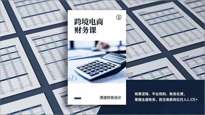 （17036期）跨境电商财务课，核算逻辑、平台规则、账务处理，掌握全盘账务，胜任高薪岗位月入1.5万+|无忧资源社