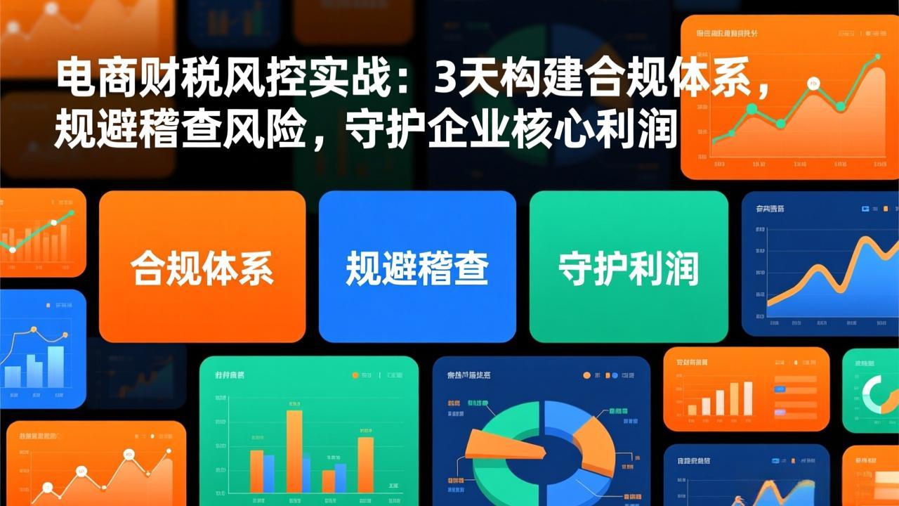 （17197期）电商财税风控实战：3天构建合规体系，规避稽查风险，守护企业核心利润|无忧资源社